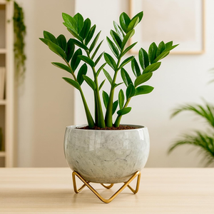 Maceta de Metal con Forma de Flor Natural, con Soporte de Hierro, Maceta Decorativa para Plantas de Interior y Exterior, Suculentas, Hogar, Jardín, Balcón - Product Image 1