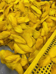 Tranches de mangue séchées extra faiblement sucrées, texture moelleuse et juteuse, fruits naturellement mûris, casher, source naturelle de vitamine C - Product Image 3