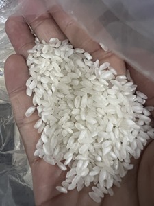 RIZ À GRAINS MOYENS DE QUALITÉ SUPÉRIEURE RIZ VIETNAMIEN DE HAUTE QUALITÉ POUR L'EXPORTATION PRIX DE GROS CONCURRENTIEL POUR LES VENTES EN VRAC - Product Image 6