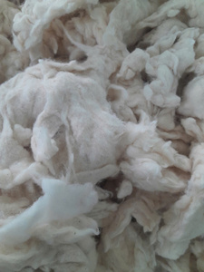 100% Kapok Comber Noil Crudo Ecológico para Hilado Reciclado, Material de Relleno y Tela No Tejida - Product Image 2