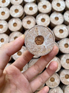 Eco2go Vietnam Blocs de Fibres de Coco Biodégradables à Haute Rétention d'Eau Prêts à l'Emploi Légers pour la Propagation des Plantes et des Semences - Product Image 2