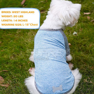 เสื้อยืดสุนัขผ้าฝ้ายคุณภาพดี น้ำหนักเบา พิมพ์ลายทันสมัย สวมใส่สบาย เหมาะสำหรับฤดูร้อน ปี 2026 - Product Image 3