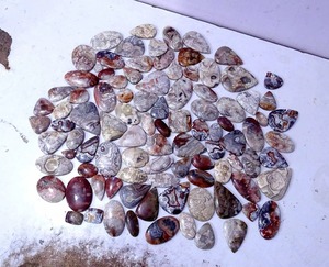 Suministro Directo de Fábrica: Ágata Crazy Lace de Alta Calidad, Piedra Suelta para Joyería, Colección de Cristales en Venta - Product Image 2