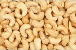 Vietnam Organic Roasted Cashew <b>Nuts</b> & <b>Kernels</b> ISO Certified Vacuum Packed Good Quality Wholesale for Export Phalco Brand Grade A - Product Image 5
