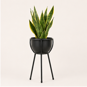 Support de plante en métal noir mat moderne avec pot rond, support de pot de fleurs surélevé minimaliste pour intérieur et extérieur - Product Image 1