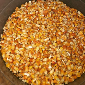 Maíz Amarillo Premium Grado 1-GMO, Maíz Seco Fresco con 99.99% de Pureza, 12 Meses de Vida Útil para Alimentación Humana y Animal - Product Image 1