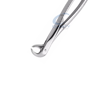 Pinzas Quirúrgicas Dentales de Acero Inoxidable Plateadas con Empuñadura Manual Moleteada, Instrumento Clase I, CLASTY INSTRUMENTS - Product Image 4