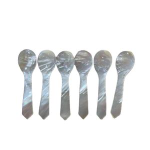 Cuillères de luxe en nacre pour caviar, idéales pour la présentation en restaurant et hôtel, cuillères personnalisées en coquillage pour confitures, amuse-gueules et la mise en valeur culinaire - Product Image 1