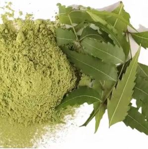 Polvo de Neem para Múltiples Usos, Proveedor de Polvo Herbal a Granel para Uso Diario en la Piel al Mejor Precio por el Fabricante de Polvos Herbales - Product Image 6