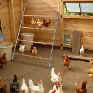 104*143cm Outdoor Chicken Perch Animal Cage for Chickens Easy to Set up and Use - Product Image 4