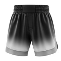 Shorts MMA pour hommes les plus populaires, nouvelle collection, pour usage extérieur, respirants et à séchage rapide, en vente.