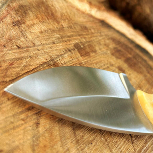 <b>Bone</b> <b>Handle</b> Skinner <b>Knife</b> with Leather Sheath Stainless Steel Camping Companion - Product Image 1