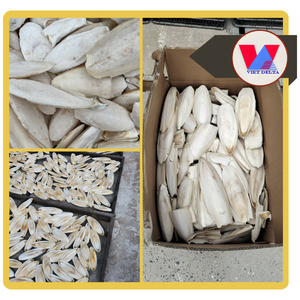 DISPONIBLE Hueso de Sepia 100% Natural de 12-15cm, Hueso de Sepia Seco Entero para Aves, Juguete Masticable para Loros y Aves - Product Image 3