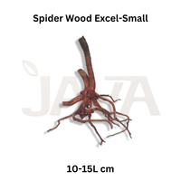 Décoration écologique pour terrarium/vivarium en bois/bambou Java, idéale pour petits aquariums, poissons, lézards et tortues