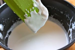 ¡Caliente! El más vendido Leche de coco vietnamita en polvo Extracto de Fruta Premium Empaquetado de botellas cultivadas en estado salvaje a granel - Product Image 5