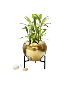 Pot de fleurs en métal avec support pour plantes pour salon, balcon, jardin, intérieur, extérieur, conteneur pour plantes, pot de fleurs décoratif moderne - Product Image 1