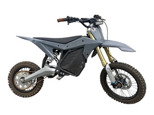 Venta al por mayor: Motocicletas eléctricas de alto rendimiento Edición Deportiva 2026 para calle - Product Image 2