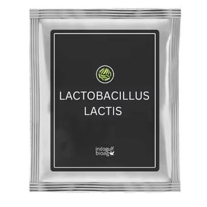 Probiotiques Lactobacillus Lactis de la marque IGC, origine Maharashtra - Product Image 1