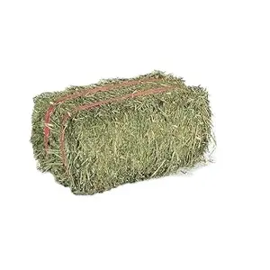 Venta al por mayor de alfalfa, heno y pellet, piensos económicos para animales - Product Image 1