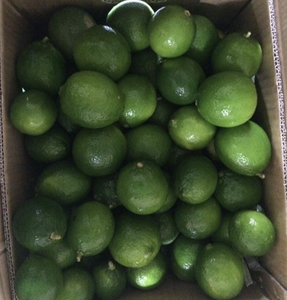 Limón Fresco de Vietnam, Elaborado con Materiales Cítricos de Calidad para Realzar Platos Culinarios y Formular Bebidas Populares - Product Image 5