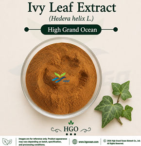 Suministro Directo de Fábrica HGO de Extracto de Hoja de Hiedra (Hedera helix L.) Grado Alimenticio, Especificaciones de Relación 4:1 5:1 10:1 20:1 100:1 200:1 - Product Image 1