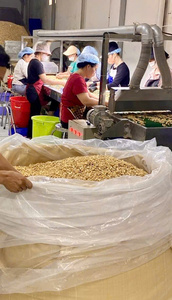 Anacardos BB crudos recién procesados de alta calidad ingredientes nutritivos para varios platos cartones de 20kg de Vietnam - Product Image 5