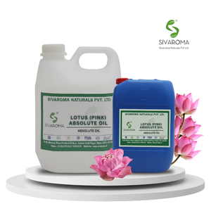 Huile absolue de lotus rose supérieure pour des compositions olfactives élégantes, des produits de soins personnels et des innovations parfumées haut de gamme - Product Image 2