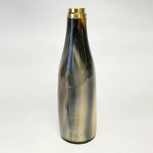 Bouteille d'eau au design créatif en forme de corne pour boire de l'eau, du jus, du lait, des boissons gazeuses, des boissons froides, bouteille d'aventure en plein air - Product Image 2