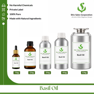 Natural Source Basil Oil Available in Bulk Packaging for Beauty Care Fragrance Personal Care and Home Care Manufacturers - Product Image 2