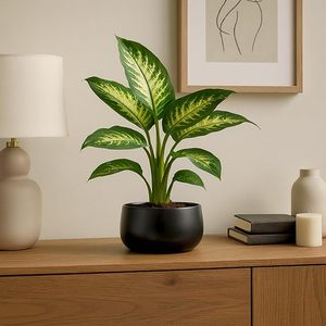 Modern Black Stainless Steel <b>Table</b> Top Planter for Indoor <b>Plants</b> & Flowers Wholesale Living Room Office Desk Decor <b>Plant</b> Pot - Product Image 3
