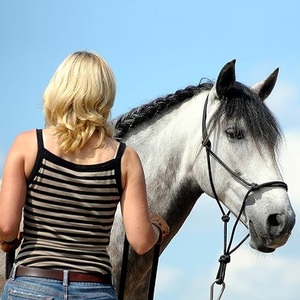 Adjustable Horse Riding Rope Halter Genuine Leather Customizable Size Logo Premium Quality English Western Style Durable - Product Image 2