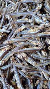 Anchois séchés en gros en vrac de haute qualité avec tête Style frais conservé avec du sel Bon prix du Vietnam - Product Image 2