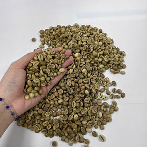 Grains de café Robusta bruts de qualité supérieure, procédé naturel, fournisseur en gros, emballage personnalisé, service OEM/ODM disponible - Product Image 2