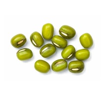 Haricots Mungo Biologiques Séchés en Vrac pour l'Exportation (Supermarchés & Services Alimentaires) – Prix Usine 50kg