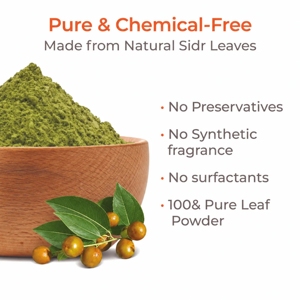 Poudre de shampoing végétal de qualité supérieure à base de Ziziphus Spina Christi, OEM ODM, fabricant de poudre de feuille de Sidr, fournisseur indien de qualité export - Product Image 5