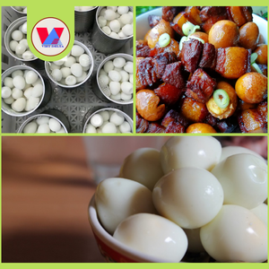 HUEVOS DE CODORNIZ ENLATADOS ECOLÓGICOS Y SEGUROS EN SALMURAS, PREPARADOS PARA COMER, IDEALES PARA HOTPOT, RAMEN, SOPAS Y CARNE BRASADA - Product Image 3