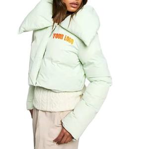 Mint Green Puffer Jacket Hooded Zipper Closure <b>Thick</b> Polyester Wadding <b>Winter</b> Casual <b>Coat</b> Front Logo Print Unisex Short Length - Product Image 1