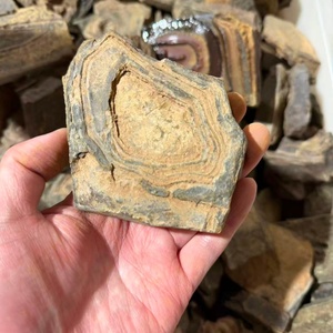 Bois pétrifié naturel d'Égypte, pierre de bois fossile brute pour l'aménagement paysager et la décoration - Fossile de bois ancien de qualité supérieure - Product Image 1