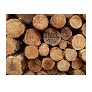 Producto Único de Alta Calidad a Precio Accesible, Mejores Troncos de Madera de Cedro Comerciales Personalizados, Rodajas Grandes - Product Image 1