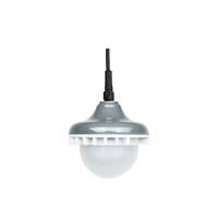 Ampoule LED à intensité variable pour la volaille E27/HT19 Socket IP67 pour la maison de la volaille Sunrise and Sunset Flicker Free