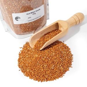 Millet Rouge Sain : Ingrédient Naturel Riche en Nutriments, Idéal pour les Bouillies, les Mélanges de Farine et Diverses Recettes - Product Image 3