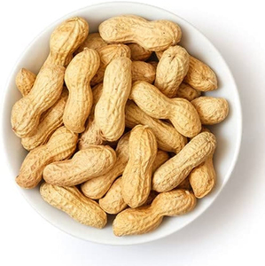 Meilleures arachides en gros de qualité supérieure, vente en vrac, qualité supérieure, fabricant exportateur - Product Image 4