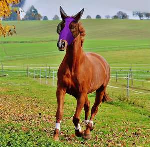 Housse de protection pour moustiquaire de qualité supérieure – Couleur unie - Product Image 6