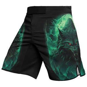Pantalones Cortos de MMA con Estampado Personalizado, Ropa Deportiva para Artes Marciales, Grappling, Gimnasio, Entrenamiento y Rendimiento Atlético para Hombres - Product Image 2