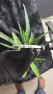 Pendentif de luxe en moissanite plaqué argent, entièrement pavé, style hip-hop, pour homme, collier statement, idéal pour les fêtes - Product Image 3