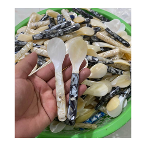 Cuchara de Concha de Abulón Orgánica, Utensilio de Cocina Perfecto para Mezclar Bebidas Calientes, Enviado Directamente desde Vietnam - Product Image 4