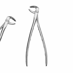 Forceps d'extraction Fig74 molaires inférieures ensemble dentaire en acier inoxydable de haute qualité Fabricant d'instruments chirurgicaux Pakistan - Product Image 1
