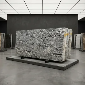 Dalles de granit blanc Viscon de qualité supérieure, pierre naturelle pour comptoirs de cuisine, revêtements de sol, revêtements muraux et intérieurs de luxe - Product Image 2