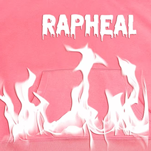 Precio al por mayor, servicio rápido, buena calidad, impresión DTF con tela de felpa 100% algodón, sudaderas con capucha a precio económico para hombre, venta al por mayor. - Product Image 4