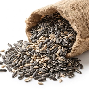 Graines de tournesol de qualité supérieure 300-450 USD/tonne pour exportateurs de snacks, approvisionnement en vrac de graines de tournesol de qualité supérieure - Product Image 4